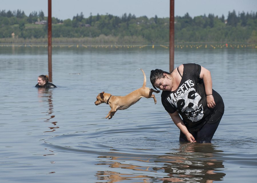 Yakima Valley resident Sara Ortiz serves as a diving platform for Stash, 9 months, Monday afternoon at Vancouver Lake.