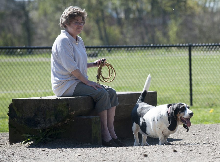 Pam McDonald and her basset hound, Freckles, frequently visit the Dakota Memorial Dog Park inside the Pacific Community Park. A Vancouver nonprofit said the park is popular to the point that it is overcrowded and is planning to open a new dog park around the corner, just west of the Humane Society for Southwest Washington.