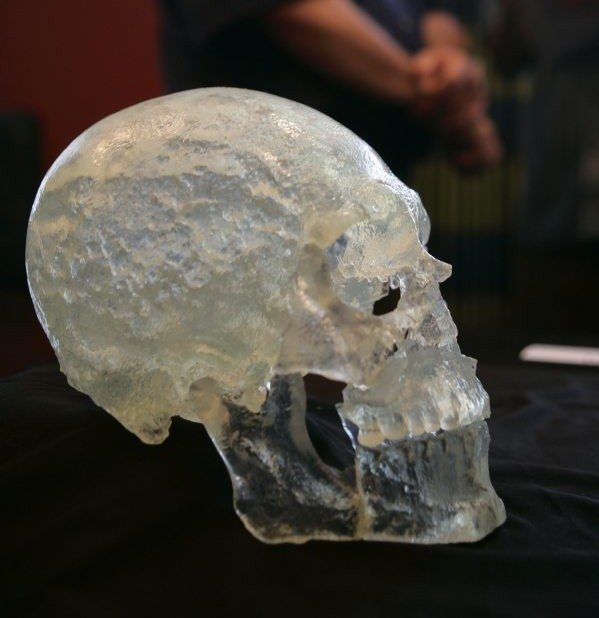 A model of the Kennewick Man skull is displayed July 10, 2005, as Dr. Wayne Smith, background, answers questions from the media regarding the comprehensive study of the ancient man at University Towers in Seattle. The Corps of Engineers has found the skeleton is Native American.
