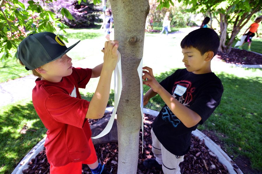 Fourth-graders Isiic Wade and Dominic Curiel make bark rubbing on a tree in George Park on Wednesday in Echo, Ore. As small towns test strategies to attract economic development, Echo&#039;s approach might best be described as &quot;Plant it and they will come.&quot; (Photos by E.J.