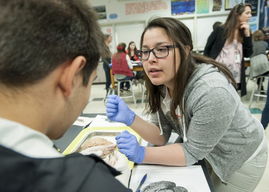 NW NOGGIN volunteer Angela Gonzalez, a neuroscience student at WSU Vancouver,  talks with Noah Tukhashvili, a Skyview High School biology student, about the parts of a sheep brain at Skyview in April 2015. Gonzalez is part of a NW NOGGIN team traveling to the nation&#039;s capital to discuss how the group develops K-12 students&#039; enthusiasm for brain science.