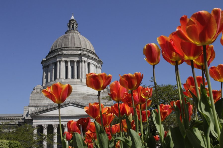 Tulips bloom in front of the state Capitol, Friday, April 8, 2016, in Olympia, Wash.
