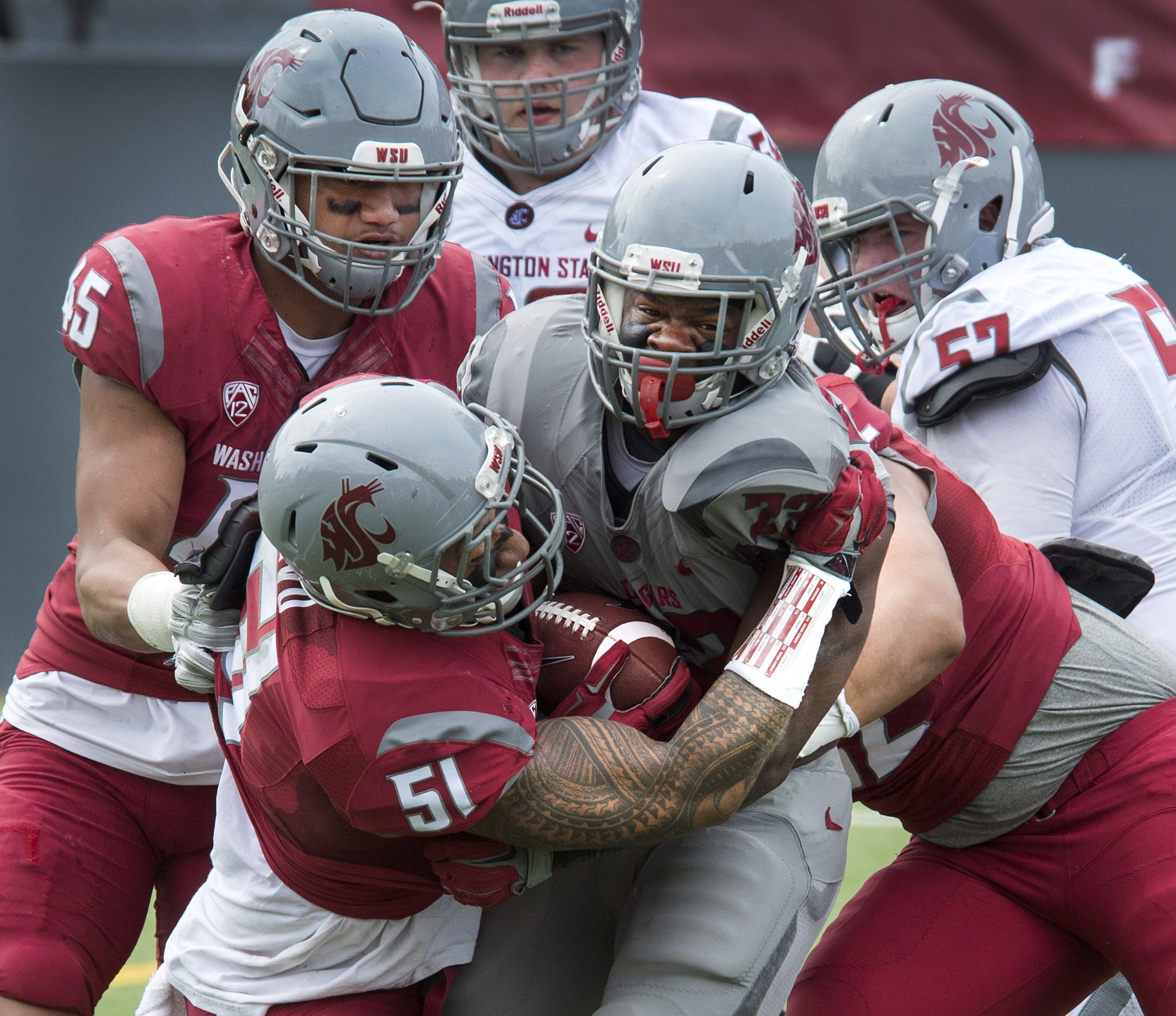 Washington State's Frankie Luvu (51) wraps up Gerard Wicks during college football action of the Crimson &amp; Gray Game, Saturday, April 23, 2016, in Spokane, Wash.