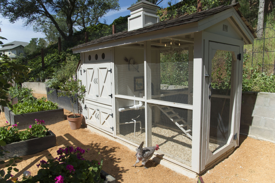 Lynda Trujillo and Christopher Schaal built this coop -- inside a fenced garden -- for their six hens.