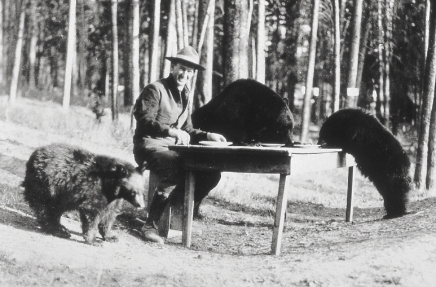 Horace Albright, the superintendent of Yellowstone, picnics with bears in 1922. Albright later became the director of the Park Service, and he opposed the closure of the bear-feeding pits.