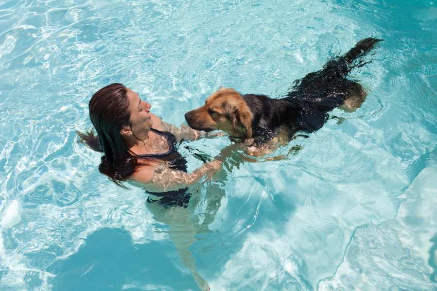 One Florida veterinarian says to help prevent pet drownings, people who have pools should wade into the water with their pooches and train them to seek out the steps.