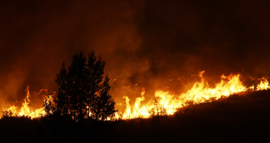 Flames rise near a tree on the ridge line above several homes on Twisp River Road just after midnight Aug. 20 in Twisp. Three firefighters were killed battling the blaze. A report by the state says tree branches rubbing on a power line started the fire. (Ted S.