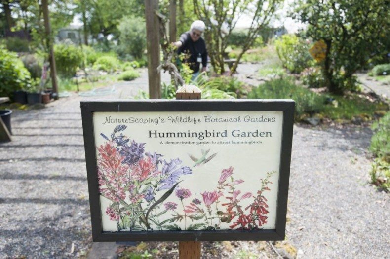 Sue Rits oversees the &quot;Hummingbird Garden&quot; in Brush Prairie&#039;s wildlife botanical gardens.