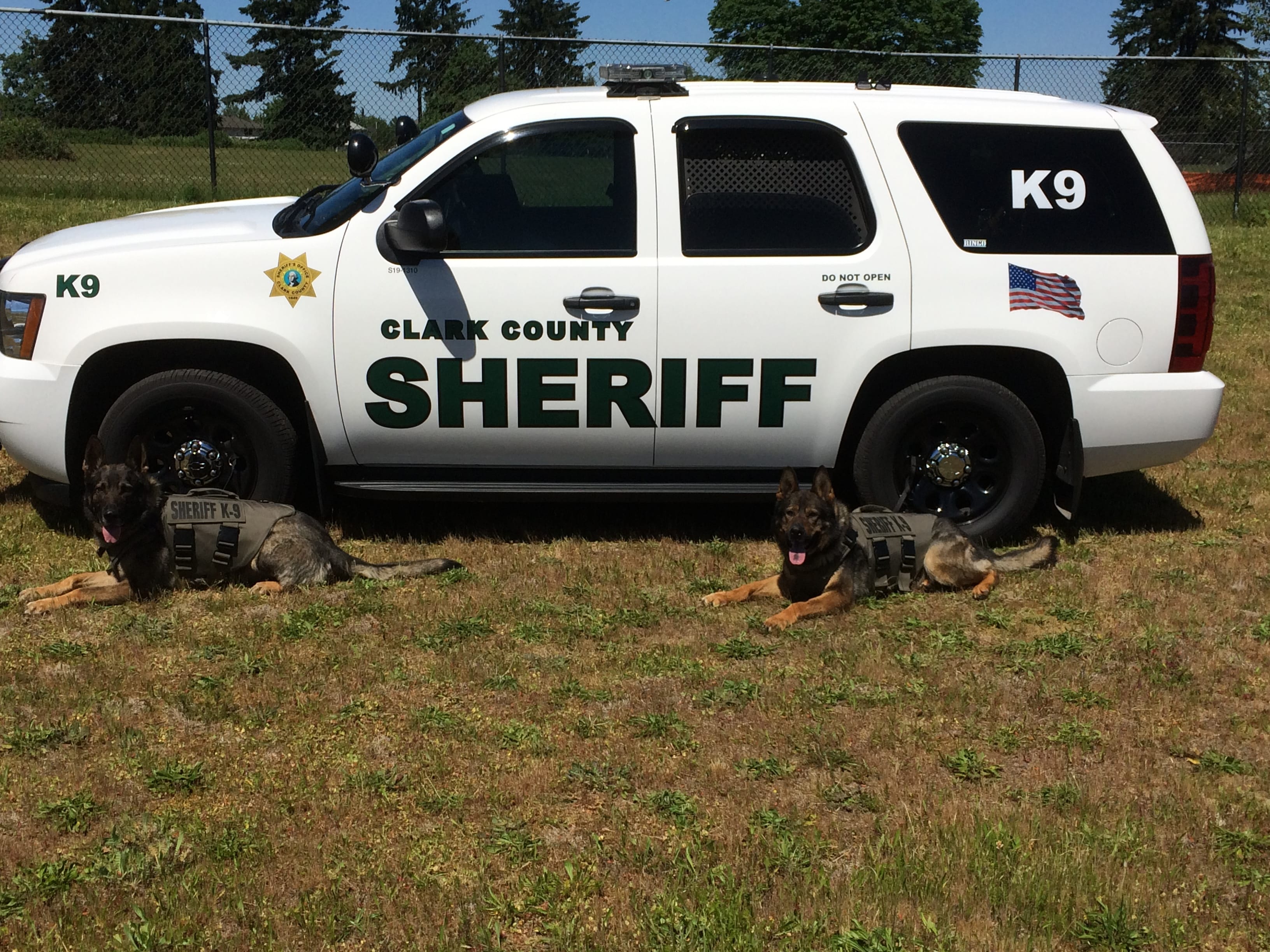 Clark County Sheriff’s Office police dogs Ringo and Jango have received the bullet and stab protective vests.
