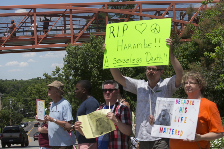 Zoo visitors look at protesters and mourners from a pedestrian bridge Monday during a vigil for the gorilla Harambe outside the Cincinnati Zoo &amp; Botanical Garden in Cincinnati. Harambe was killed Saturday at the Cincinnati Zoo after a 4-year-old boy slipped into an exhibit and a zoo response team concluded the boy&#039;s life was in danger.