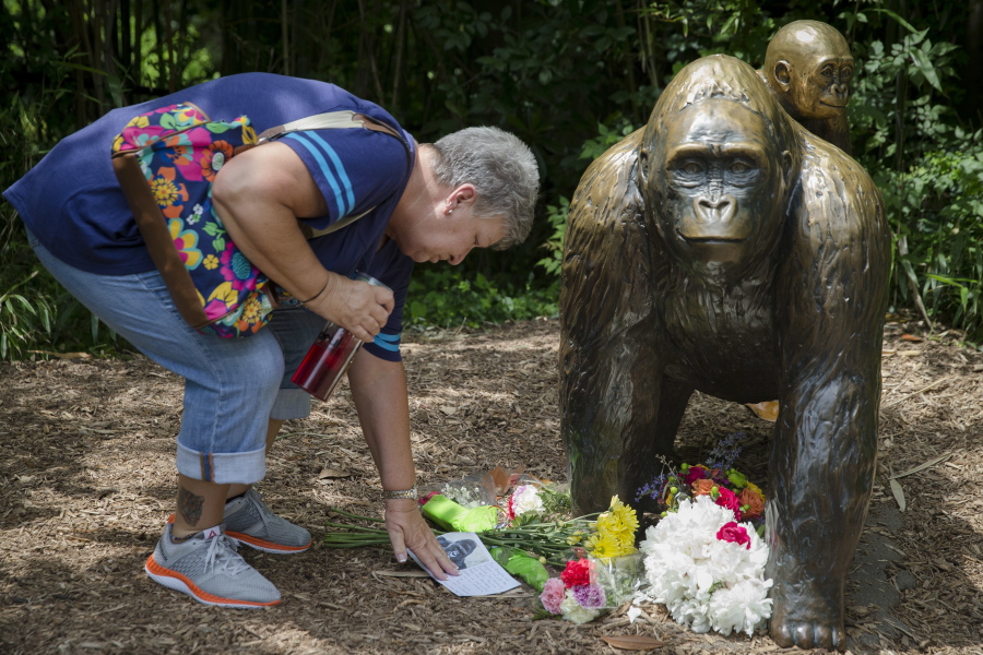 Eula Ray, of Hamilton, whose son is a curator for the zoo, touches a sympathy card beside a gorilla statue outside the Gorilla World exhibit at the Cincinnati Zoo &amp; Botanical Garden on Sunday,  in Cincinnati.