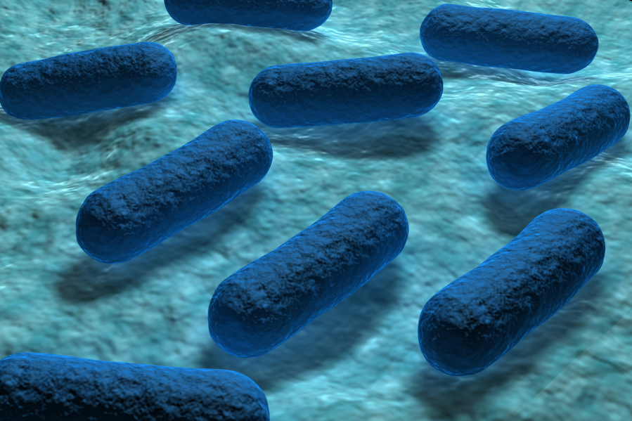 A new report says the colistin-resistant mcr-1 E. coli has been discovered in a Pennsylvania woman.