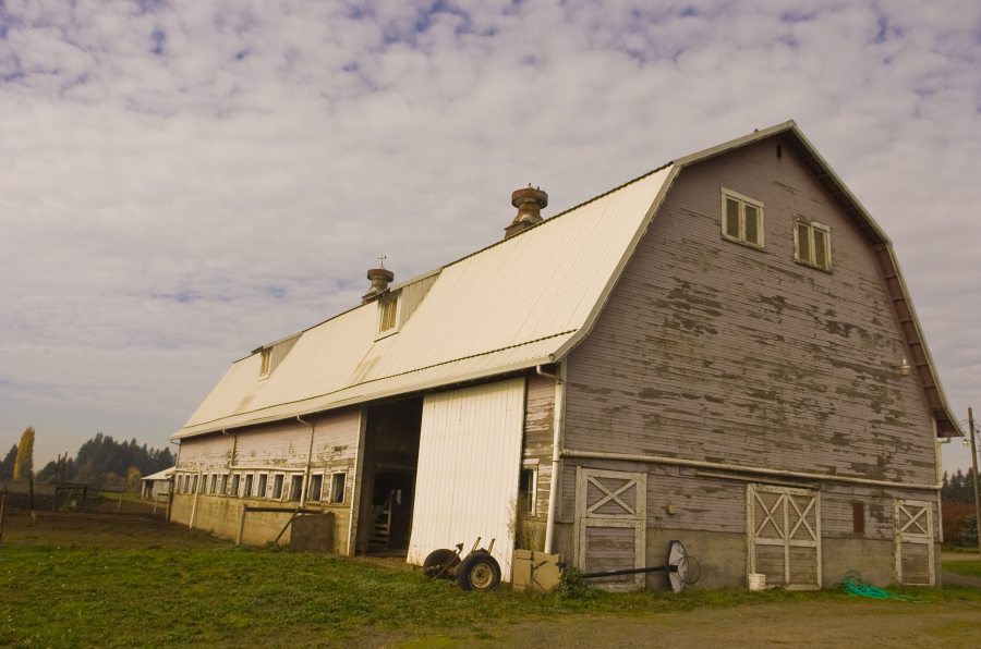 An old barn belonging to Lagler Dairy along N.E. 149th Street is a testament to Brush Prairie&#039;s agricultural roots.