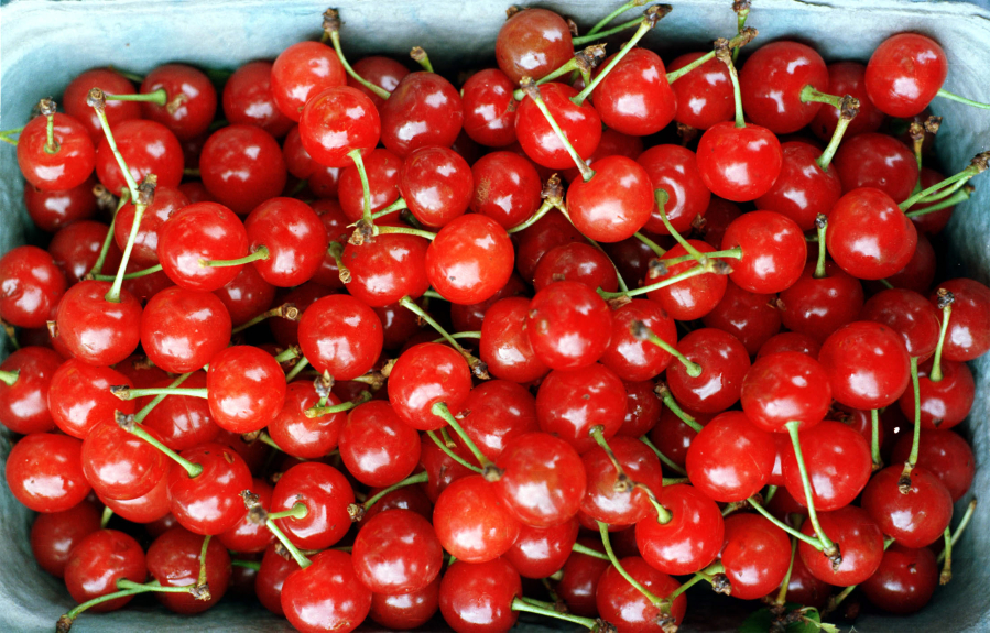 Columbian files 
 Pie cherries are extremely perishable and require rapid and careful handling from tree to consumer, with 99 percent of these pie cherry varieties frozen or canned within 48 hours of harvest.