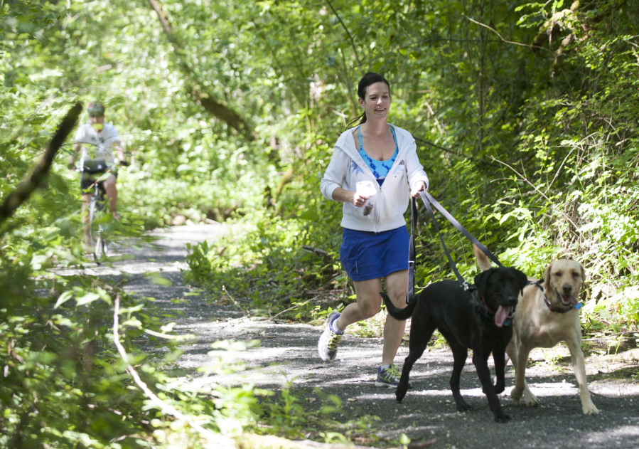 Michelle Collins jogs with her Labradors, 2-year-old Ellie and 1-year-old Sage,on a new nature trail June 7 west of Vancouver Lake. Volunteers from the Washington Trails Association and Clark County completed the 2.5-mile roundtrip trail in February.