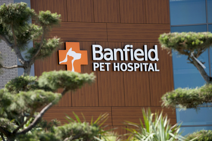 The job growth rate for June will likely jump because of Banfield Pet Hospital headquarters opening in Vancouver.