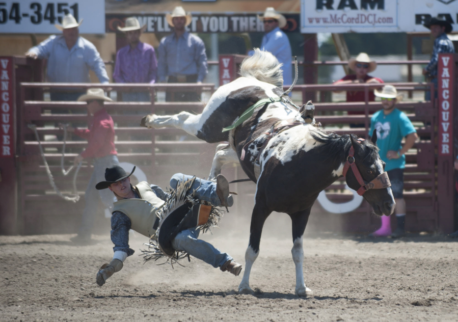 Justin Barrett is thrown from his horse as he rides bareback on the final day of the Vancouver Rodeo in Vancouver in 2015.