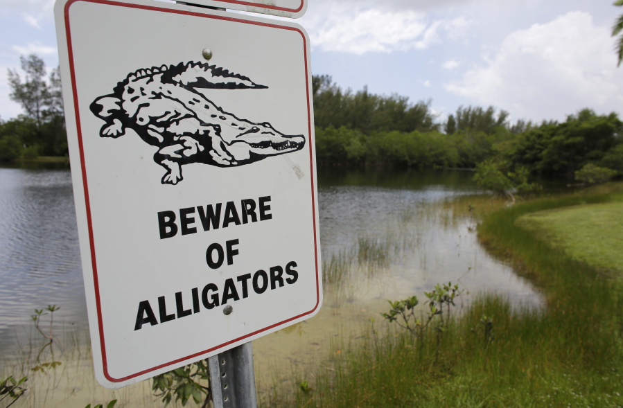 A sign next to a lake at Matheson Hammock Park in Miami warns of alligators. The Disney resort where a boy was killed had "No Swimming" signs, but the signs did not warn about gators.