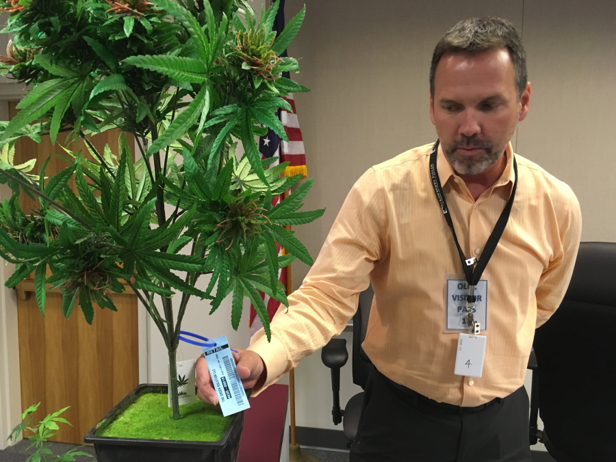 Todd Golden, associate director of Metrc, displays a tracking tag that can be scanned by radio frequency identification devices, on an artificial marijuana plant at the Oregon Liquor Commission offices in Portland.