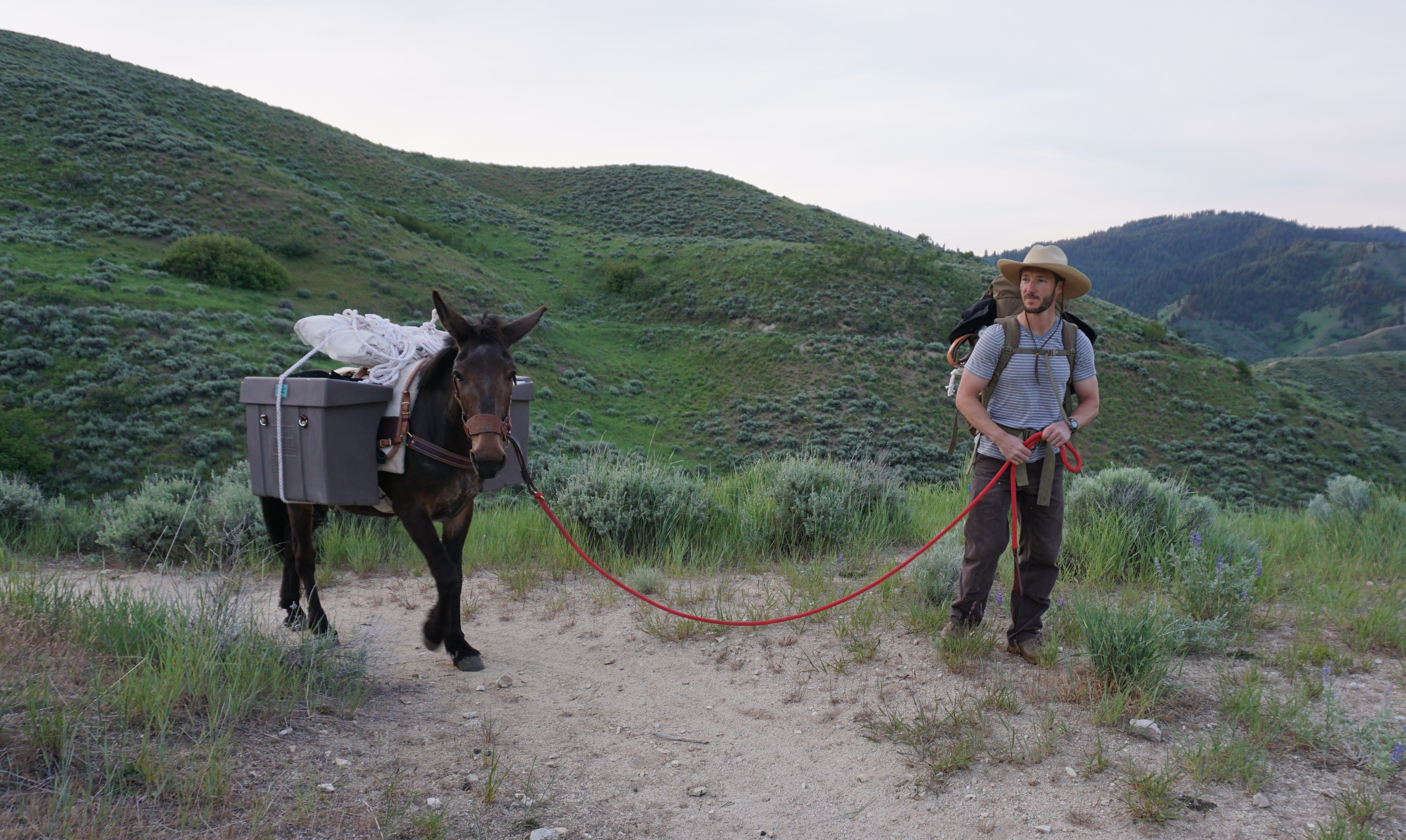 Matt Bishop and his mule, Richard, arrive at the spot where Bishop set up his coffee stand.
