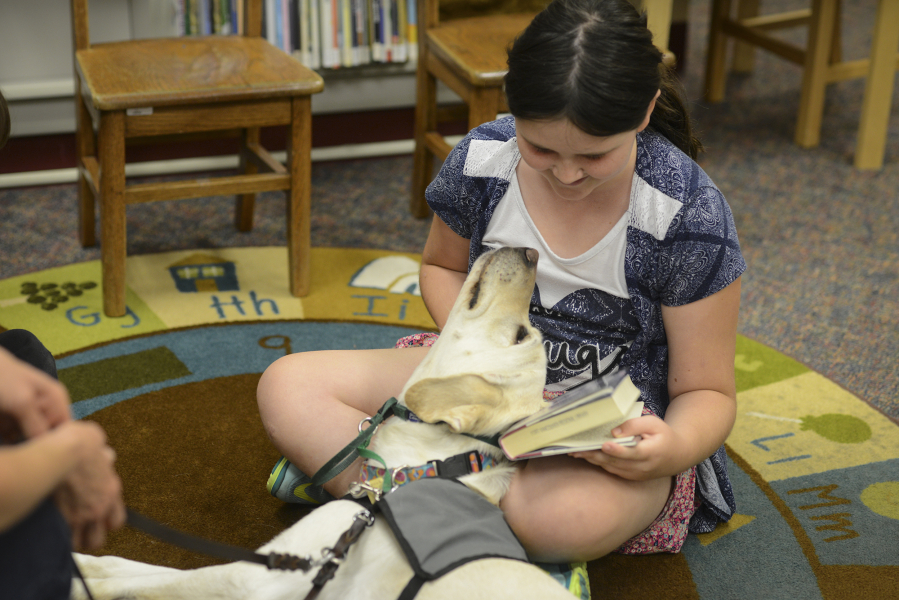 Limon snuggles up as Cora McGill, 9, reads &quot;The Time of the Fireflies&quot; to her as part of the Ridgefield Community Library&#039;s Read to the Dogs program through the Portland Area Canine Therapy Teams program.