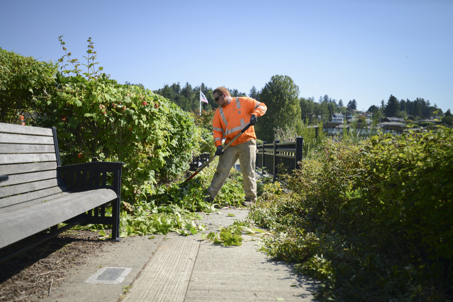 Conner Agar, who is on the city of Vancouver’s ground maintenance crew, cleans up overgrowth along the jetty at Tidewater Cove Marina. Parks have been hit hard recently by vandals. Julie Hannon, director of the parks department, estimates parks workers spend 30 percent of their time dealing with vandalism and graffiti.