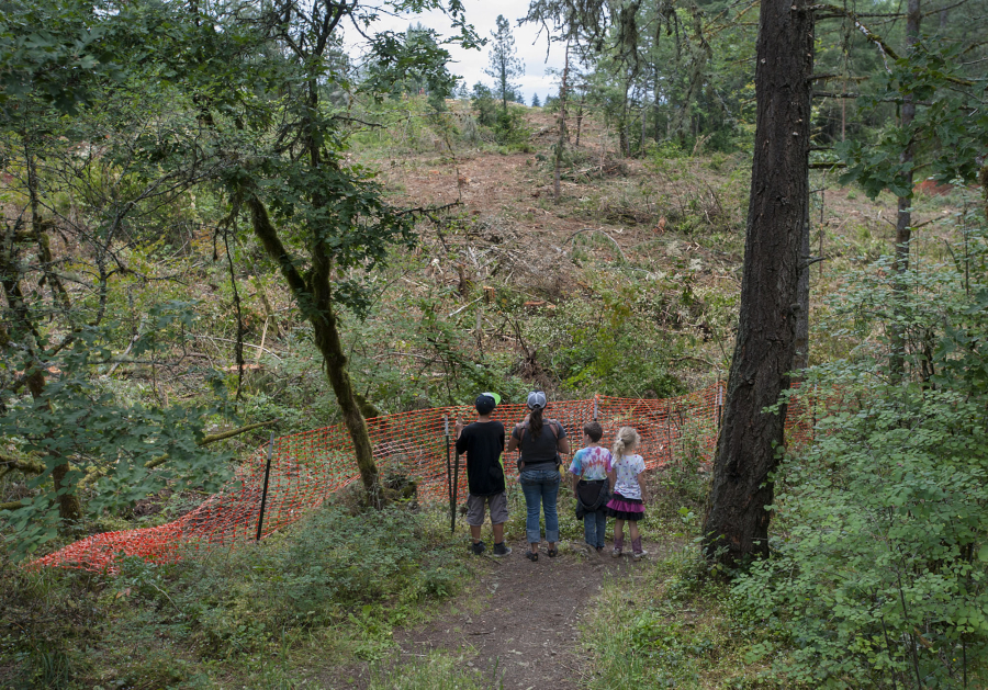 Talon Mitchell, 12, of Washougal, left, stands Camas Lily Loop Trail in Lacamas Lake Regional Park and looks onto lands that have been cleared for the Windust subdivision with his mom, Kara Morrison, and his siblings, Hayden Mitchell, 9, and Opal Mitchell, 7, in late June.