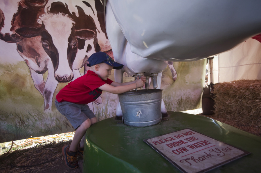 Dalis Price, 4, tries his hand at milking a toy cow Sunday at the Clark County Fair. The activity was part of Cowboy Boot Camp, a new play area at the fair for young children and their families.