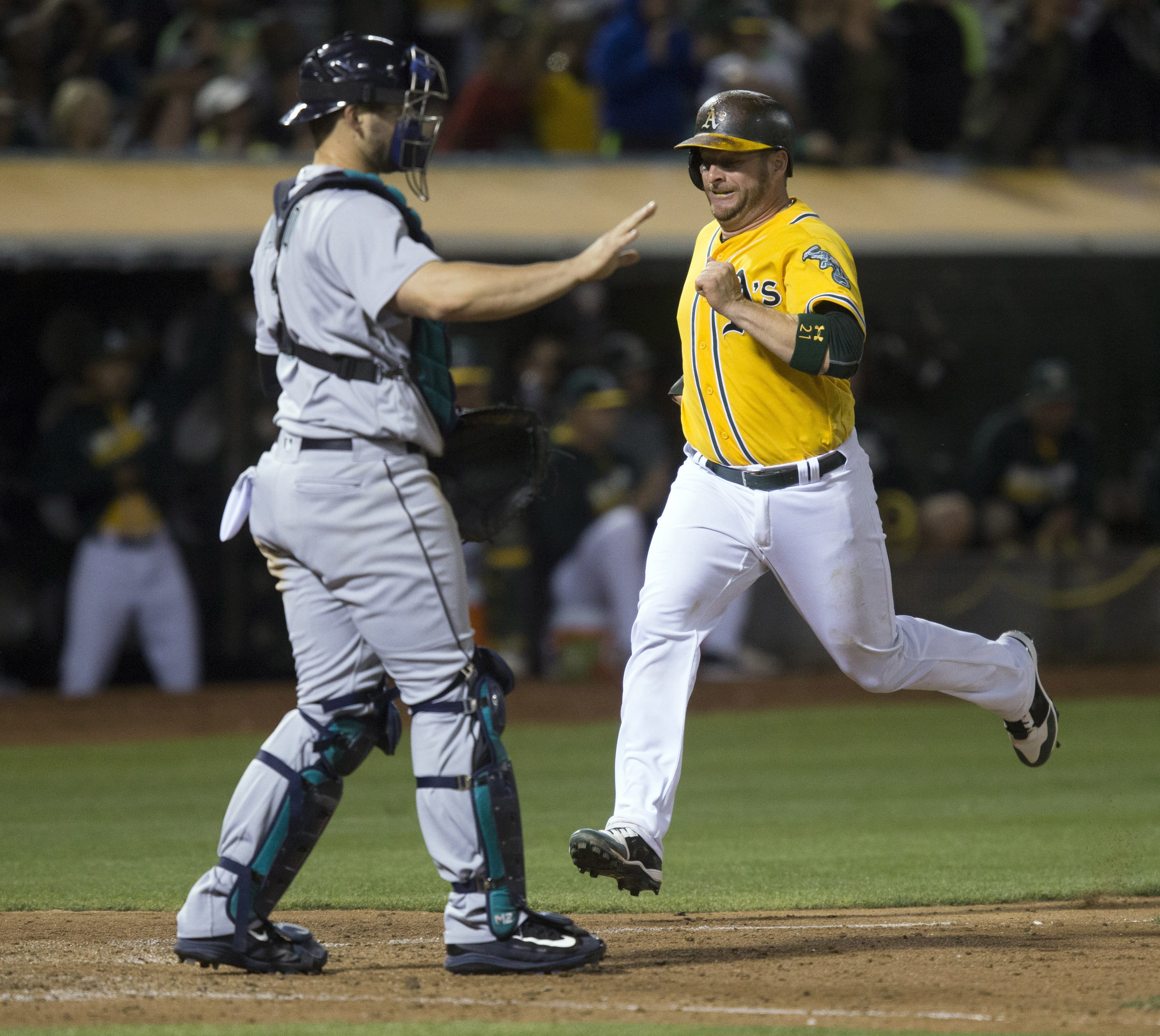 Oakland Athletics' Stephen Vogt scores past Seattle Mariners' Mike Zunino on Yonder Alonso's two-run single during the sixth inning of a baseball game Friday, Aug. 12, 2016, in Oakland, Calif. (AP Photo/D.