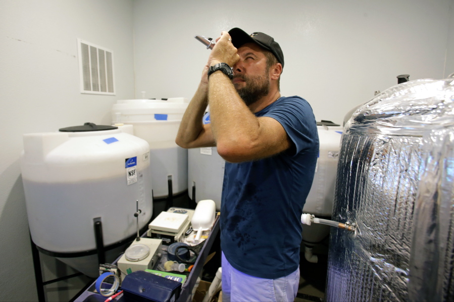In this July 12, 2016 photo, Joe Winiarski owner of a small farm and brewery in Wildwood, Fla., uses a refractometer to check the gravity of a batch of beer, which is the alcohol content. Winiarski is recognized as the first commercial hops grower in Florida.