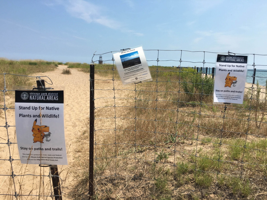 Signs are posted asking Pokemon Go players to stay on the path instead of walking through the grass to protect wildlife at the Loyola Dunes area on Chicago&#039;s lakeshore. The protected dunes have become a popular hot-spot for Pokemon Go players.