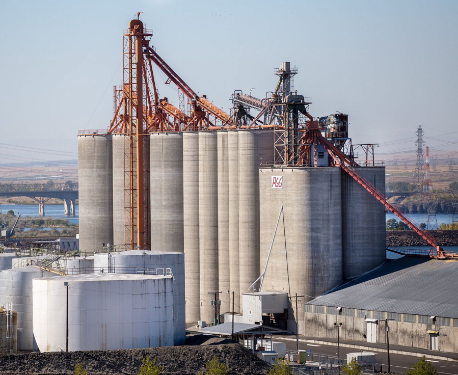 United Grain, which closed a deal in June to buy PGG properties, will determine which terminals and elevators to develop and which to close. The McNary terminal is one of two terminals in the package and the only river terminal.