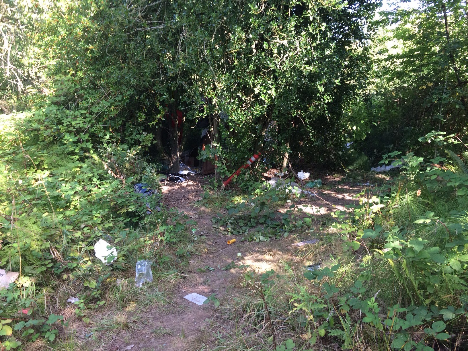 A passer-by found a dead body Thursday afternoon in this wooded area in Hazel Dell, and detectives with the Clark County Sheriff's Office were investigating. Additional identifying information wasn't available, and the sheriff's office said it wasn't immediately obvious what caused the person's death.