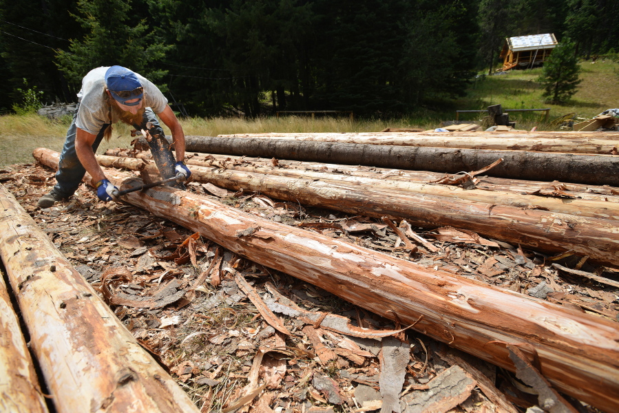 Jacob Stevens of Elgin, Ore., strips bark Aug. 5 from logs that will be used to rebuild the barn at the Minam River Lodge east of La Grande, Ore. (Photos by E.J.