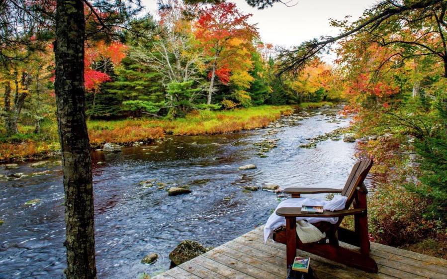 Trout Point Lodge in Kemptville, Nova Scotia, Canada, offers guided nature walks that are inspired by the Japanese philosophy of forest bathing, which encourage participants to slow down and contemplate nature with all their senses as a way of promoting well-being.