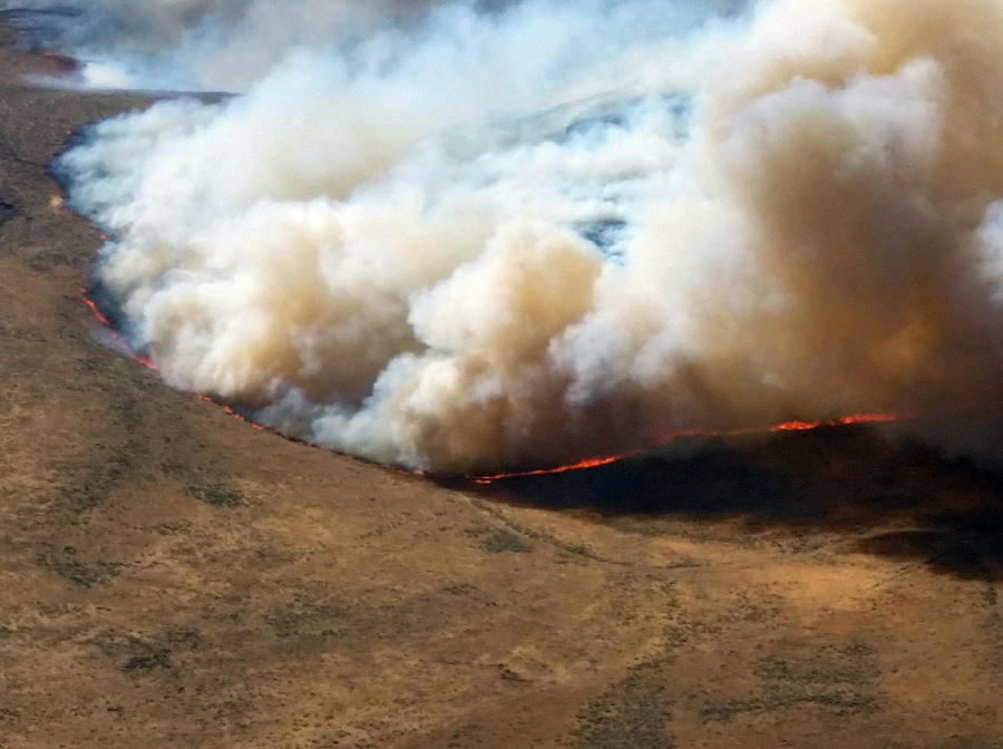 The Cherry Road Fire as it races through brush and grass land south of Vale, Ore., near the Oregon-Idaho border Aug. 21.