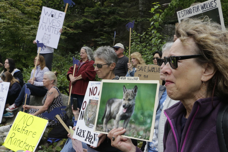 Opponents of the state&#039;s decision to eradicate a wolf pack to protect cattle protest Thursday outside of the Washington Department of Fish and Wildlife in Olympia. So far, six of 11 members of the pack have been killed.