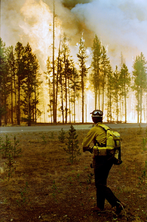 Larry Walters, a U.S. Forest Service firefighter from Higgins, Miss., watches the North Fork fire burn in the Yellowstone National Forest on Aug. 24, 1988. Fire managers in Yellowstone National Park are curious to find out why wildfires are burning so actively in the summer of 2016, in areas that burned back in 1988. The park has called in a special federal team that studies fire behavior to look at why the fires are burning so well.