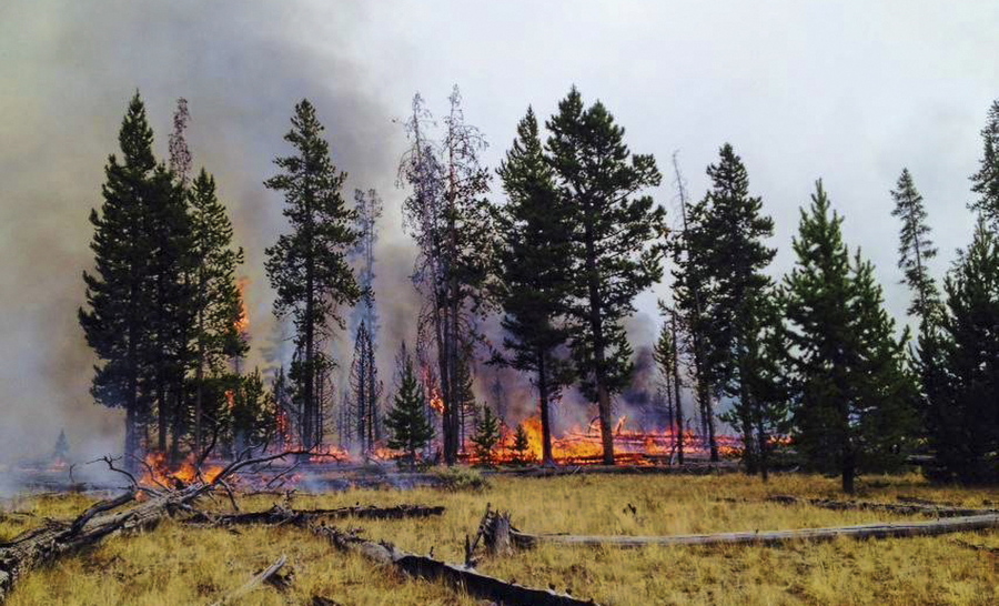 A fire burning on the west side of Yellowstone National Park in September.