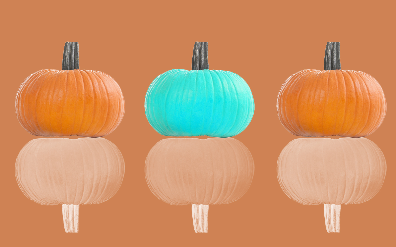 A teal-colored pumpkin represents food allergy awareness among all the orange pumpkins.