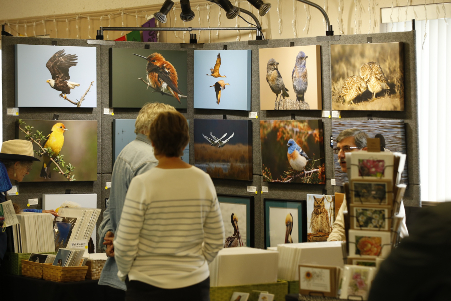 Bird photography on display at BirdFest and Bluegrass.