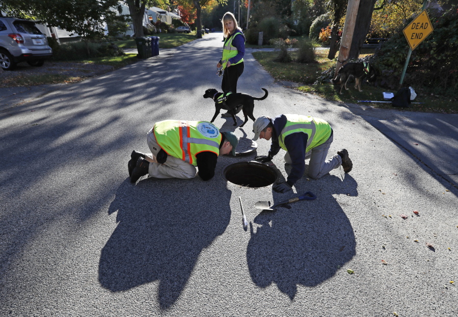 Scott Reynolds of Environmental Canine Systems, left, and Fred Dillon, the stormwater program coordinator for the city of South Portland, Maine, inspect a stormwater drain pipe in South Portland. Remi, a dog trained to sniff out sources of water pollution, with handler Karen Reynolds, rear, detected human fecal bacteria in the pipe. Many communities across the country are saving time and money by using dogs to find sources of pollution instead of gathering samples to be sent to laboratories for testing. (AP Photo/Robert F.