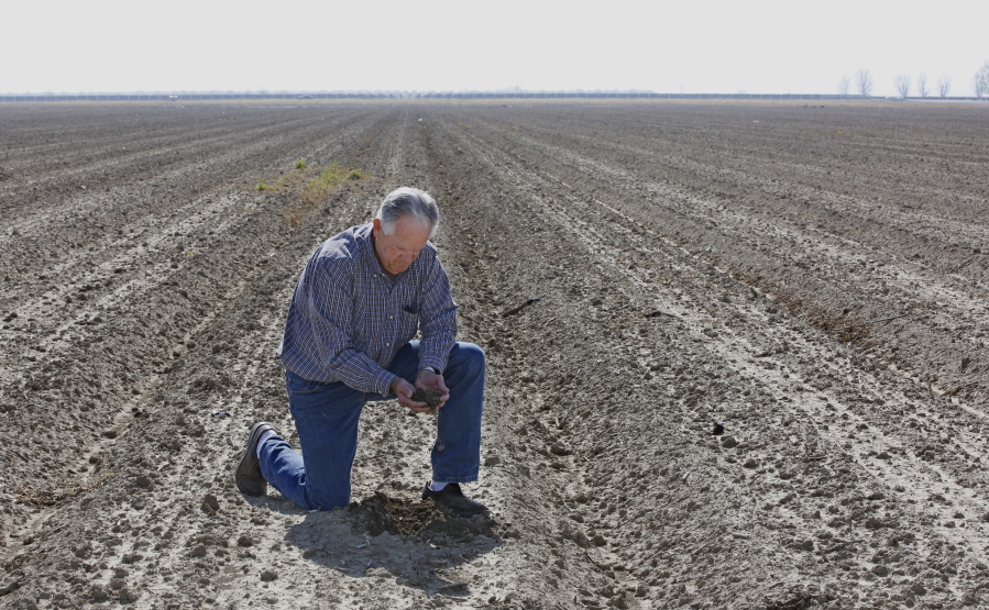 Mike Stearns, chairman of the San Luis &amp; Delta-Mendota Water Authority, checks the soil moisture on land he manages Feb. 25 near Firebaugh, Calif. State regulators said Wednesday that water conservation continues to slip in drought-stricken California after officials lifted mandatory cutbacks.