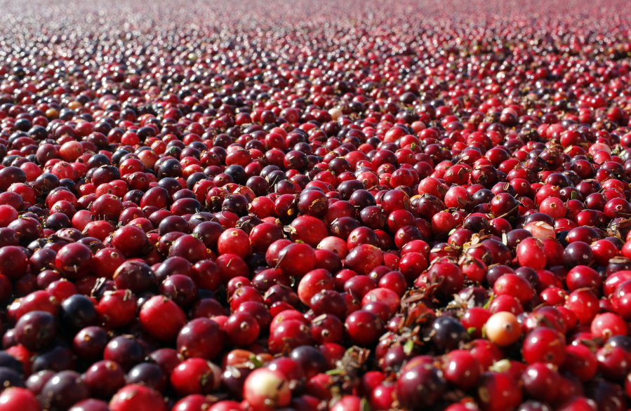 According to a study in the Journal of the American Medical Association, cranberry capsules didn&#039;t prevent or cure urinary infections in nursing home residents. The research adds to decades of conflicting evidence on whether cranberries in any form can prevent extremely common bacterial infections.