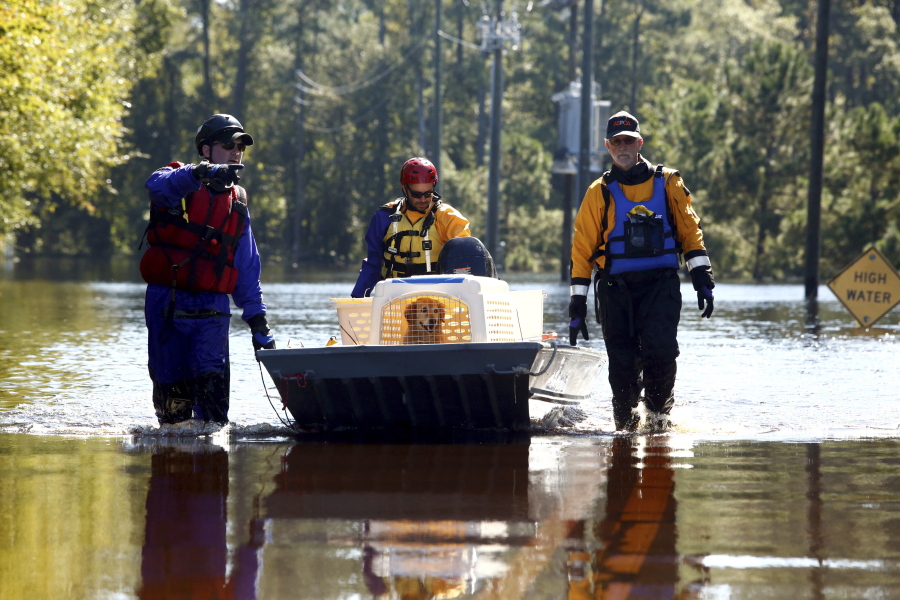 A team from the ASPCA works to bring a dog named Caroline to dry land after rescuing the animal from a nearby home surrounded by floodwater associated with Hurricane Matthew on Thursday, Oct. 13, 2016, in Lumberton, N.C.  The society said it has helped nearly 1,000 animals in the Carolinas and Georgia since Hurricane Matthew struck last weekend.