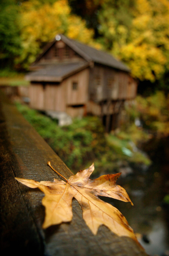 Fall colors at the Cedar Creek Grist Mill in north Clark County in 2006.