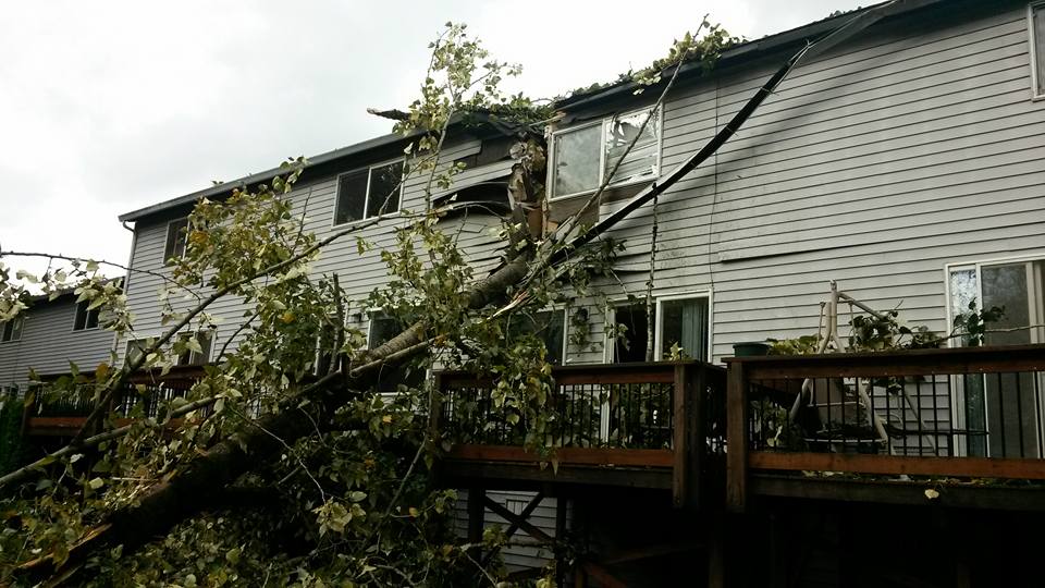 Gusty winds brought a cottonwood tree down into the side of the Whipple Creek Village apartment complex north of Vancouver on Saturday afternoon. No one was injured.