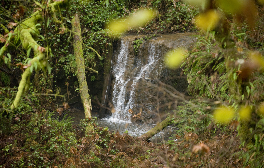 A small waterfall is seen from a trail at Paradise Point State Park, near the La Center exit from Interstate 5.