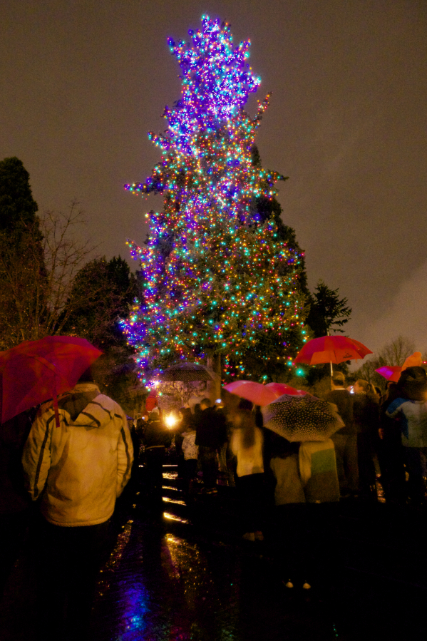 The Vancouver community Christmas tree glows after the annual lighting ceremony at Esther Short Park.