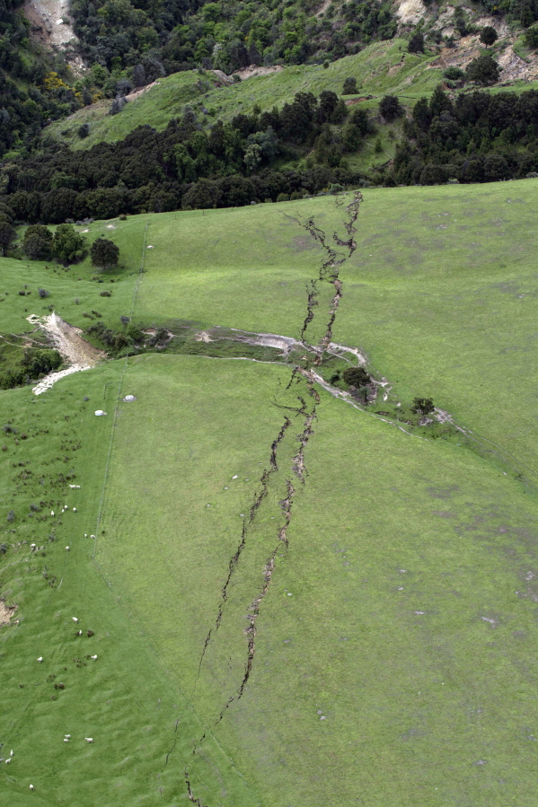 Cracks in farmland around Conway near Kaikoura, New Zealand, are seen after a powerful earthquake, Monday, Nov. 14, 2016. A powerful earthquake that rocked New Zealand on Monday triggered landslides and a small tsunami, cracked apart roads and homes, but largely spared the country the devastation it saw five years ago when a deadly earthquake struck the same region.